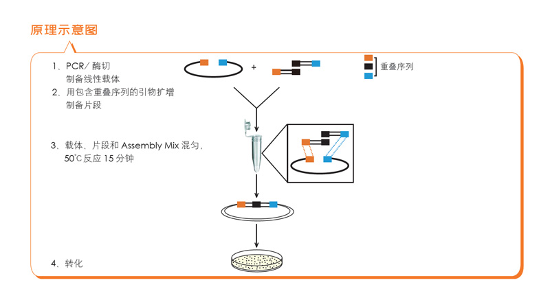 乐动平台(中国)产品再登《Science》杂志
