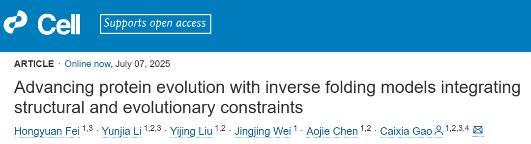 Advancing protein evolution with inverse folding models integrating structural and evolutionary constraints