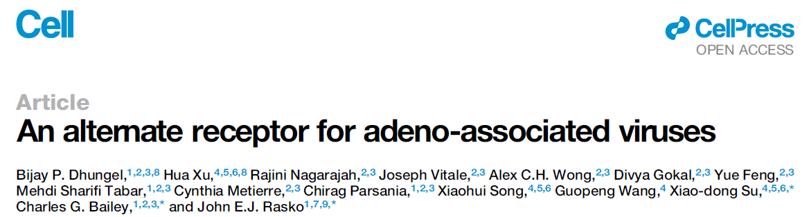 An alternate receptor for adeno-associated viruses